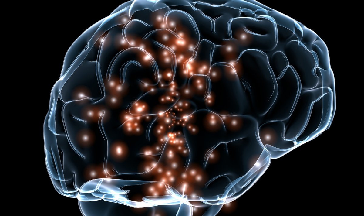 Aju aktiivsus (Foto: Wikimedia Commons / USA valitsus, DARPA)