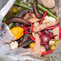 Miks eestlane nii palju toitu raiskab? Aastas visatakse ära 61 kg toitu inimese kohta