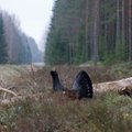 Eesti Metsa Abiks läks Keskkonnaameti vastu kohtusse