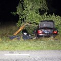 ФОТО С МЕСТА ПРОИСШЕСТВИЯ | В Тойла BMW врезался в дерево: водитель погиб на месте