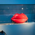 FOTOD | Adamson-Ericu muuseumis avati näitus glamuursete käekottide ajaloost