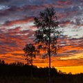 KOLUMN | Mart Pukk: põhiseaduse täiendus - Eestis tõuseb päike idast ja loojub läänes