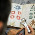 Akadeemik väidab, et on dešifreerinud Voynichi käsikirja