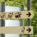 Популярность Таллиннского зоопарка среди туристов выросла