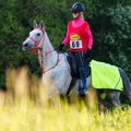 Eestis edukalt sportlaskarjääri alustanud hobune müüdi maailma tipptalli