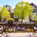 20 городов, где лучше всего встречать весну