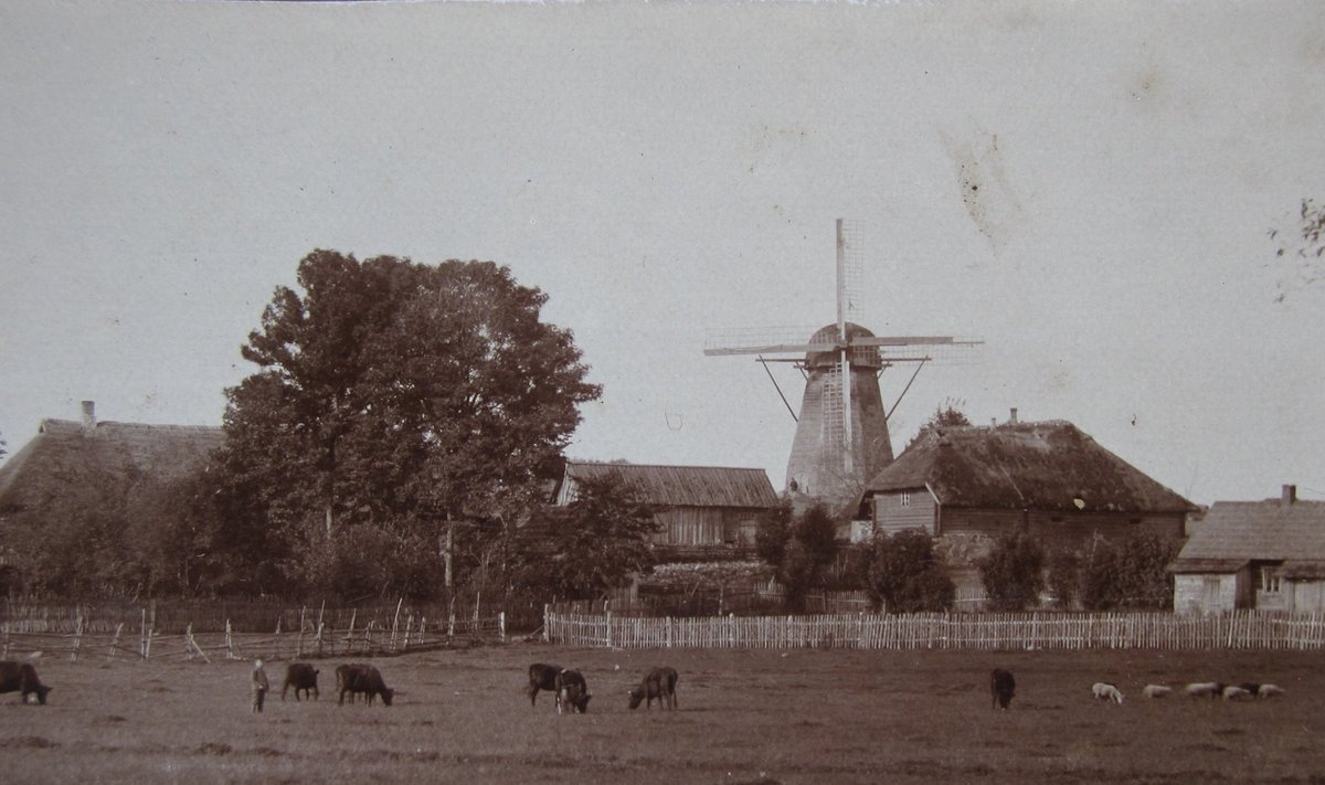 RIKAS TALU: Muri talu Holstre vallas Viljandimaal. Pildistanud Hans Silk u 1910-11.