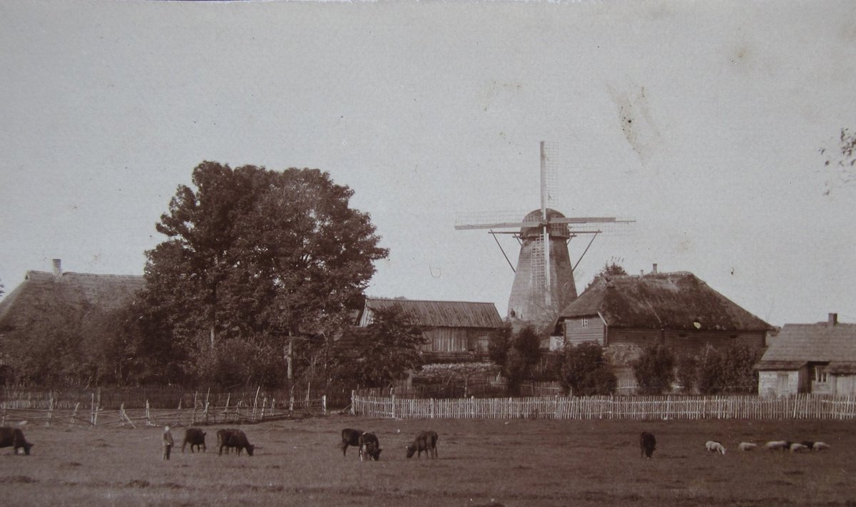 RIKAS TALU: Muri talu Holstre vallas Viljandimaal. Pildistanud Hans Silk u 1910-11.