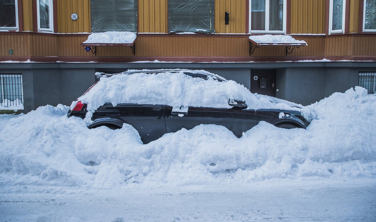 В этом году снег в Таллинне будут убирать лучше, обещает вице-мэр Владимир Свет.
