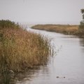 Eesti püügipiirkonnad, osa 2: Peipsi ja Võrtsjärv