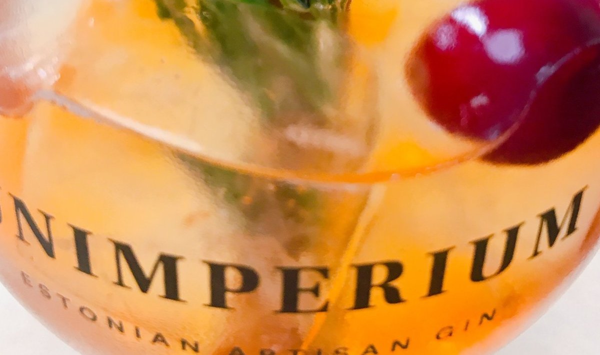 Need, kellele džinn alkoholina või kokteiliosana eriti ei meeldi – näiteks hiniinist tuleva mõru meki pärast – jätab sloe gin vabandustest ilma. 