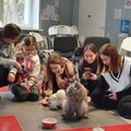 Lambad ja kanad telefoni asemel: noorukid õpivad teraapiakeskuses loomadelt suhtlemisoskusi