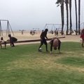 VIDEO: Nalja kui palju! Vello Vaher teeb Santa Monica rannal krabikõndi