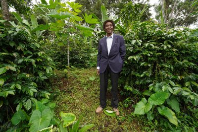 Dennis, 76-aastane kohvikasvataja Tansaanias, Kilimanjaro mäe läheduses. Dennis on kohvikasvatamisega tegelenud 40 aastat.