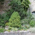 ФОТО | Выбран cамый красивый сад Старого города