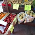 FOTOD | Vaata, mis hinnaga on müügil kodumaised aiasaadused! Eesti maasika hind püsib kõrge