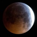 VIDEO | Esmaspäevase "verekuu" ajal tabas Kuud meteoriit