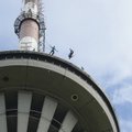 DELFI FOTOD: Tallinna teletorn tähistab sünnipäeva vaatemänguliste langevarjuhüpetega