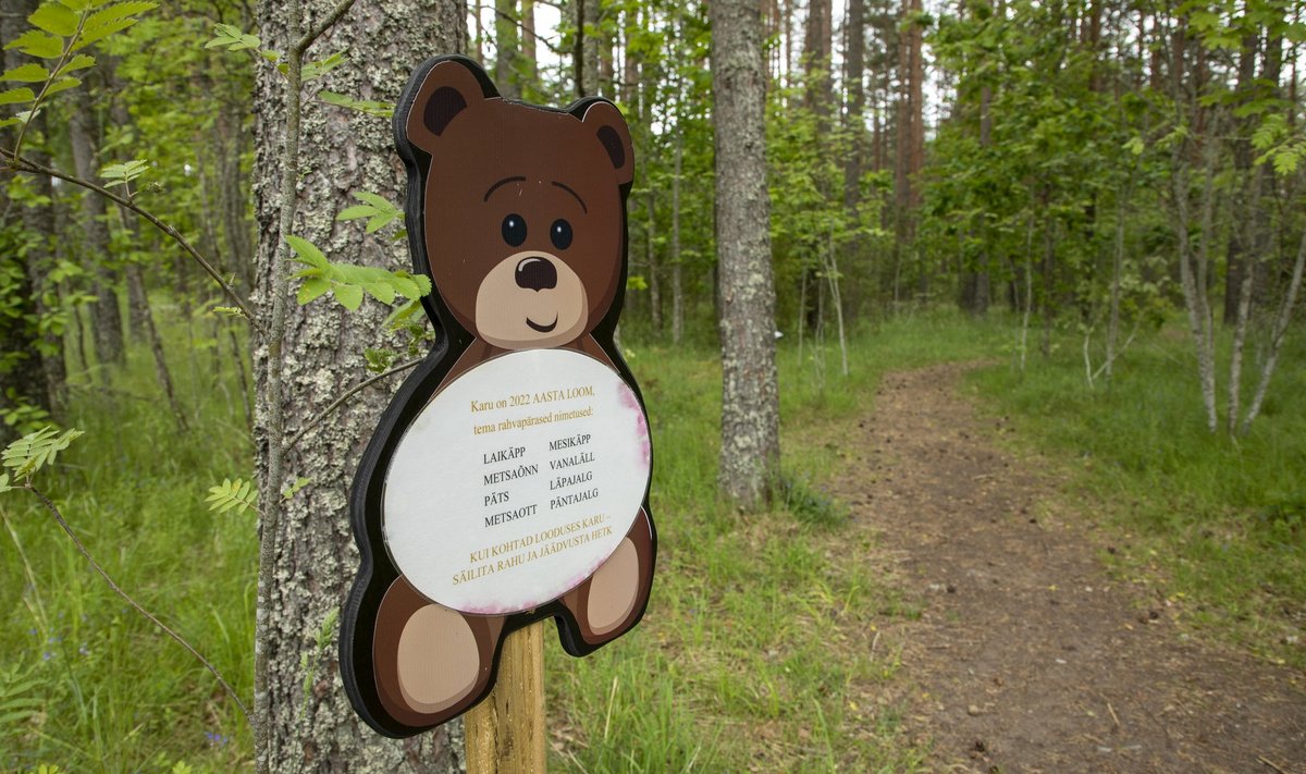 Karu oli Aasta loom 2022, täna saab Ülemistes näha temale pühendatud näitust.
