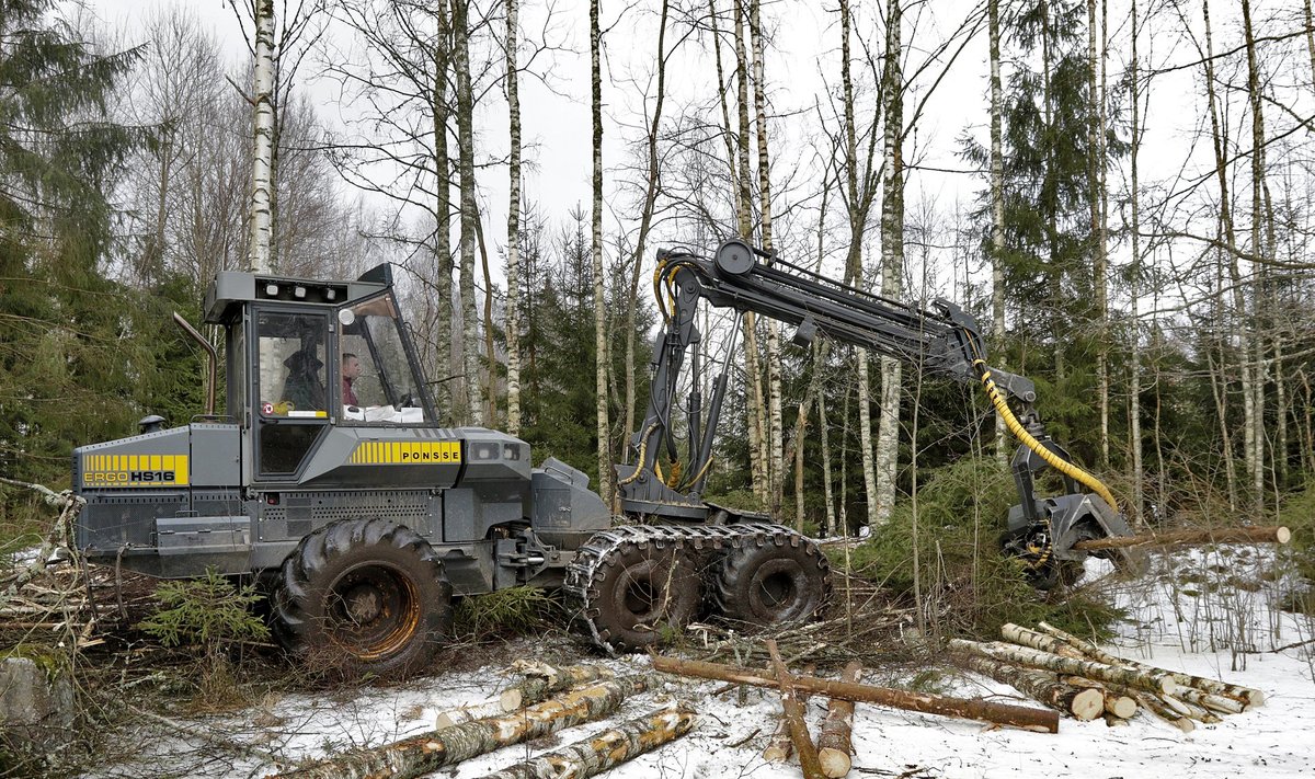 Metsalõikus Saarde valla metsas