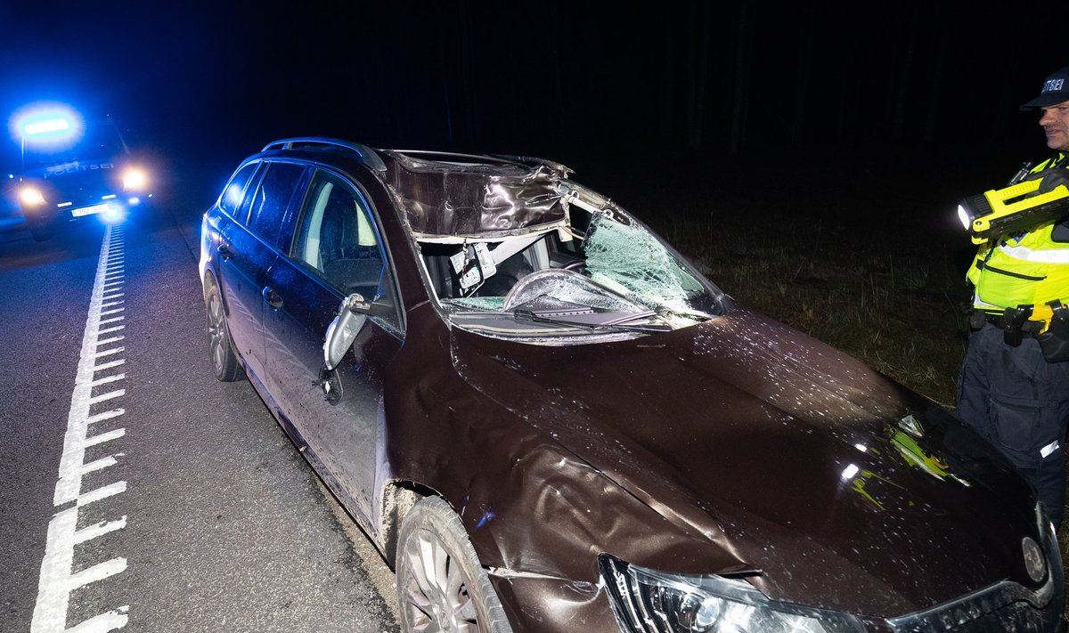 Põdraga kokku põrganud auto vajab kõvasti remonti.