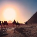 Власти Египта планируют запустить систему tax free для иностранных туристов