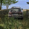 Opel Insignia GSi või Insignia Country Tourer: otsitakse tõelist elustiiliautot