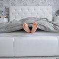 Спальня по знаку зодиака: как обустроить место для отдыха, чтобы привлечь счастье