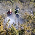 В этом году в Эстонии случилось 600 лесных и ландшафтных пожаров. И прогнозы на будущее не радуют