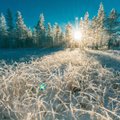 Зимнее солнцестояние 21 декабря 2021 года: какие возможности принесет этот день разным знакам Зодиака?