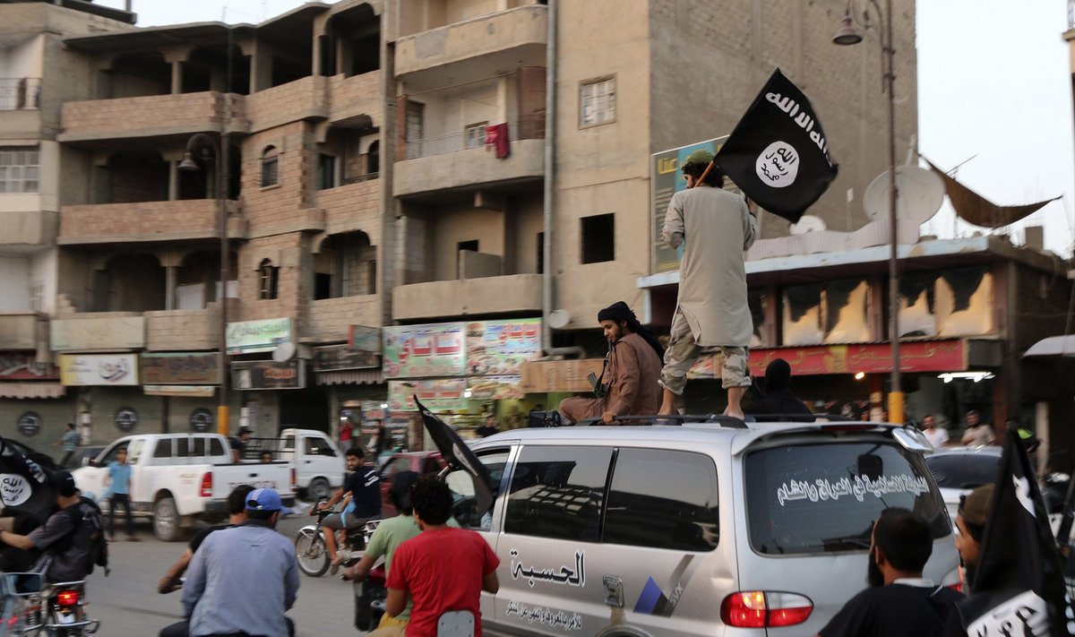 Members loyal to the ISIL wave ISIL flags as they drive around Raqqa