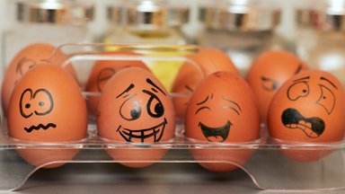 Какие три вида яиц ни в коем случае нельзя есть 