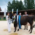 Parimad punased lehmad elavad Viljandi- ja Valgamaal