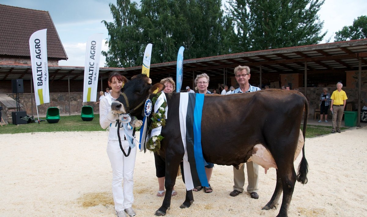 Tartu Agro lehm Killi juhib punaste lehmade eluajatoodangu edetabelit. 11aastane, üheksa korda poeginud Killi on andnud 134 489 kilo piima.