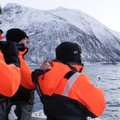VIDEO: Põhja-Norras maiustavad vaalad heeringaparvedega isegi keset talve