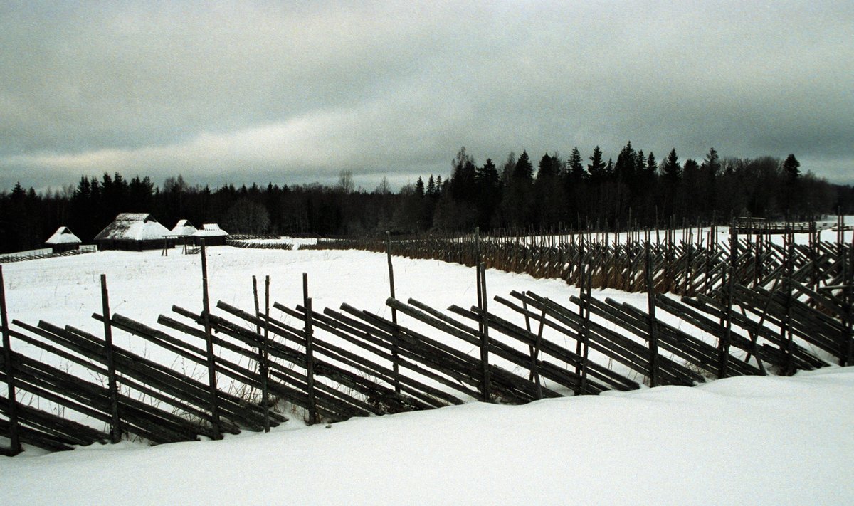 Vargamäe