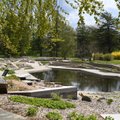 Таллиннский ботанический сад приглашает посетить обновленный альпинарий