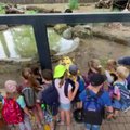 ВИДЕО | В Мюнстерский зоопарк в Германии поселили необычное "животное"