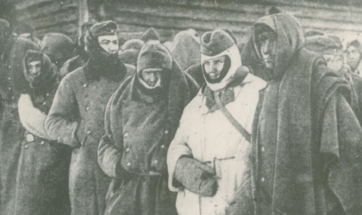 Velikije Luki lahingutes vangivõetud Saksamaa sõdurid ja ohvitserid.