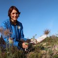 Maret Vaher: orienteerumishooaeg algas hea hooga