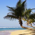 Hea pakkumine! Puhka veebruaris Kariibidel: edasi-tagasi otselend Stockholmist Punta Canasse (Dominikaani Vabariik) vaid 266 eurot