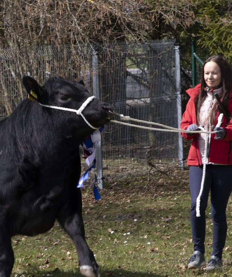 Eesti Tõuloomakasvatajate Ühistu oksjoni võidupullid aretajatega.