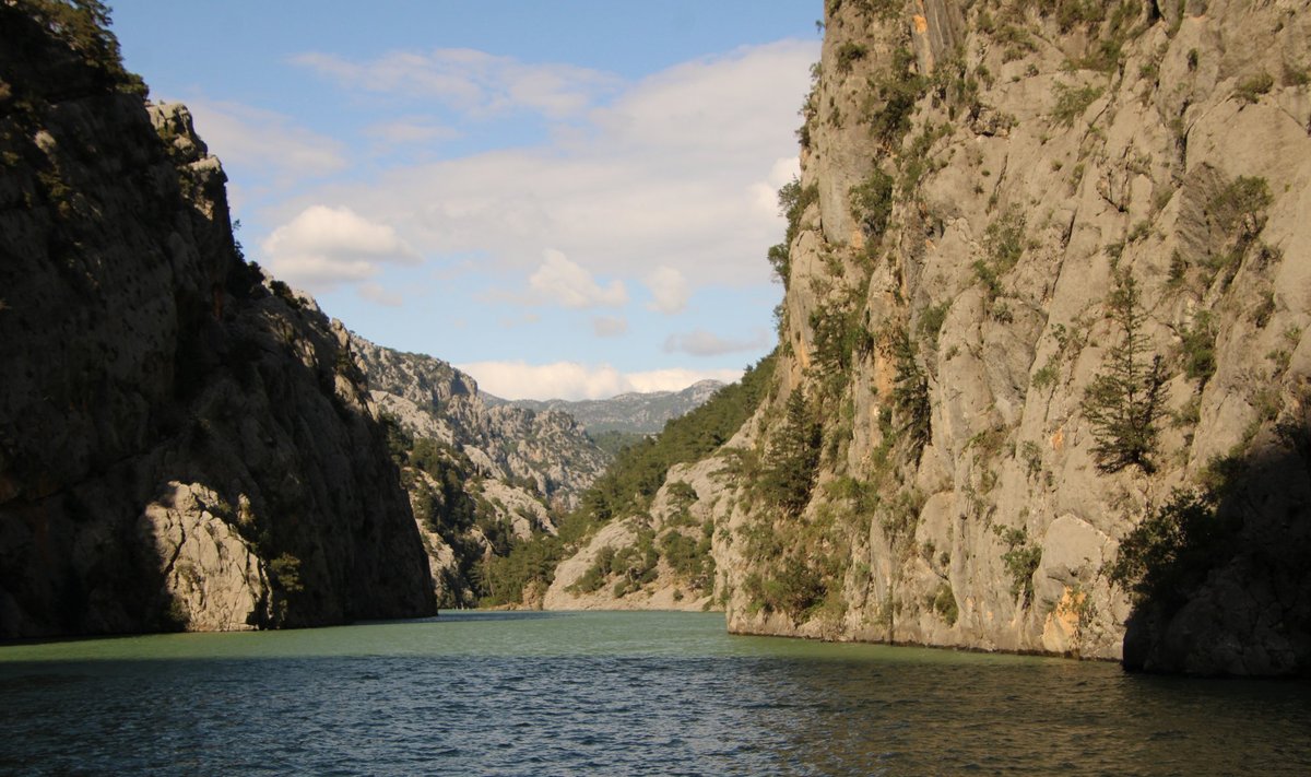 Roheline kanjon