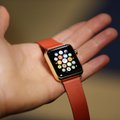 ФОТО: Apple представила "умные часы" Watch и супертонкие "Макбуки"