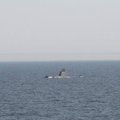 ФОТО: Пассажиры парома заметили в Балтийском море подводную лодку