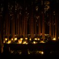 PILTUUDIS | Metsakalmistu on mattunud hingedepäeva küünalde sumedasse valgusesse
