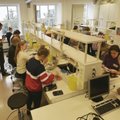 Eesti parimad bioloogiatundjad selgusid tarakani lahates
