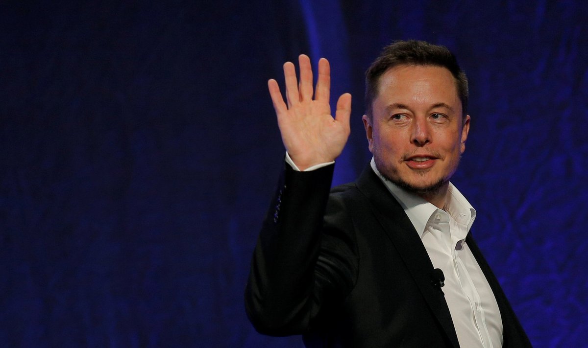 Tesla juhatuse esimees Elon Musk.