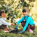 #OMAPUU kutsub kõiki eestimaalasi üles istutama endale oma puu