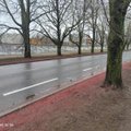FOTOD | Tallinna rattateede lagunemine jõudis järgmisele tasemele: punane värv kolis sõiduteelt haljasalale